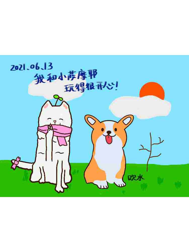 壁纸